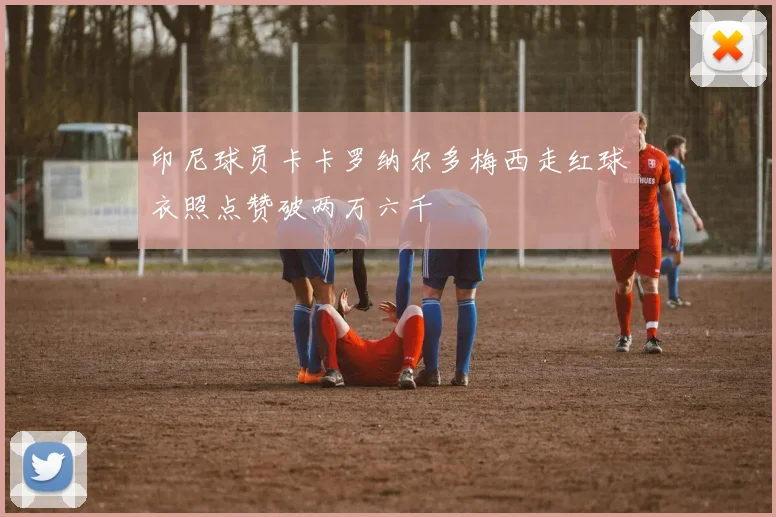 印尼球员卡卡罗纳尔多梅西走红球衣照点赞破两万六千