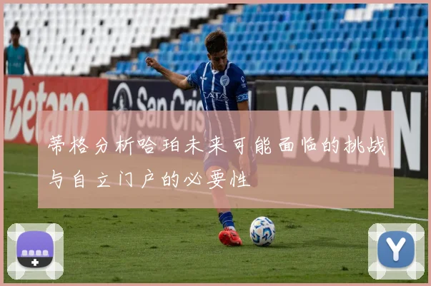 蒂格分析哈珀未来可能面临的挑战与自立门户的必要性